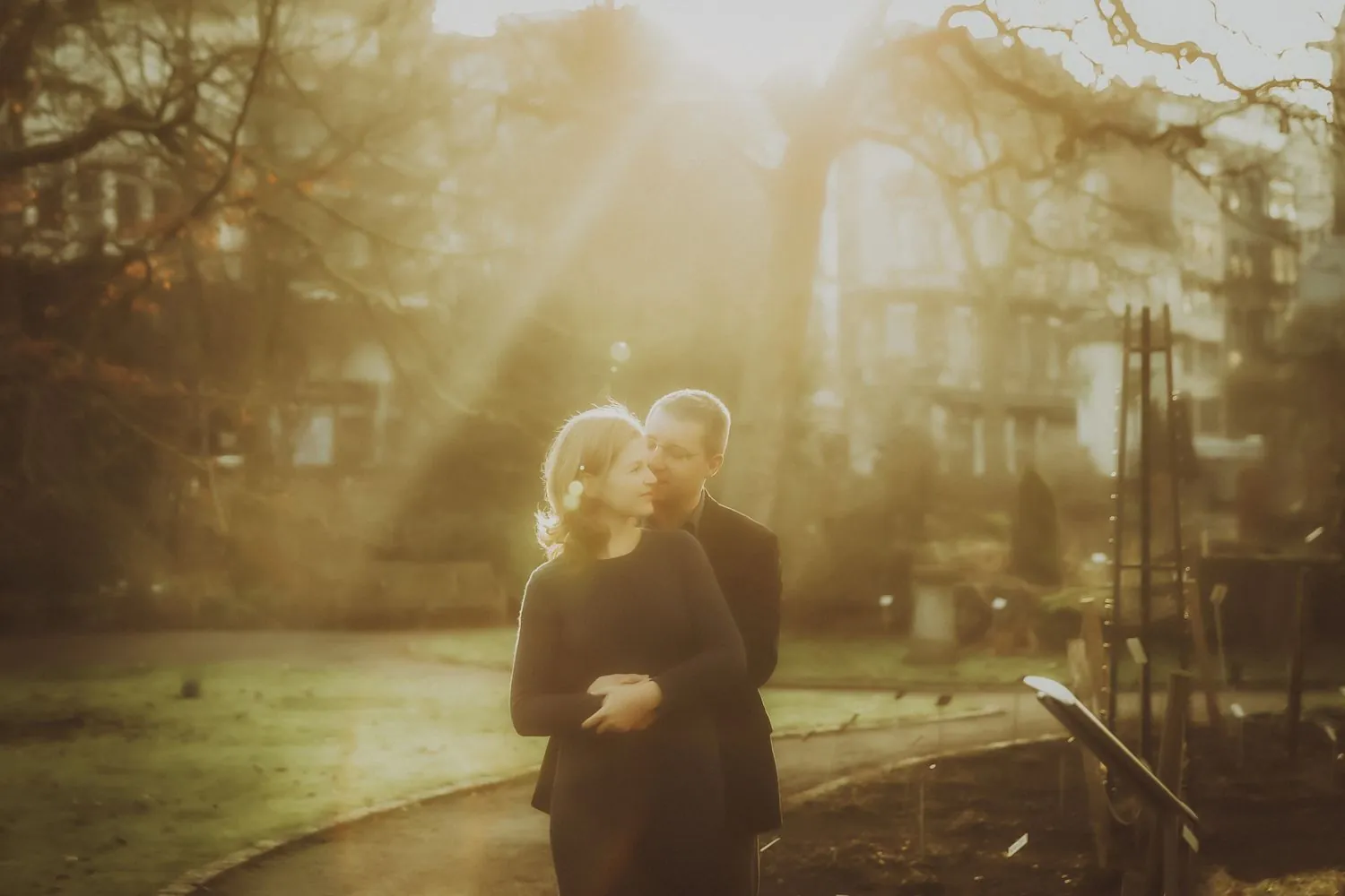 Golden evening light through trees, Komorebi photoshoot