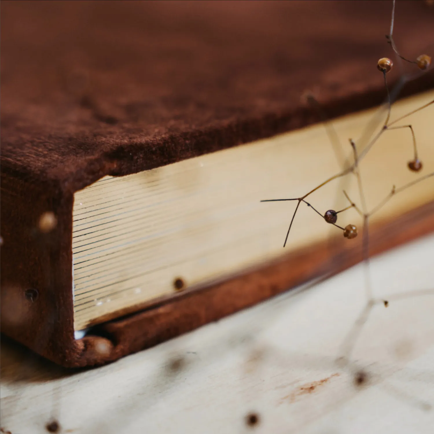 Brown velvet album seen from the side, with the pages visible